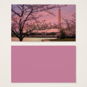 Washington Monument Cherry Blossom Festival (Front & Back)