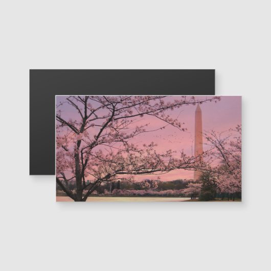 Washington Monument Cherry Blossom Festival (Front/Back)