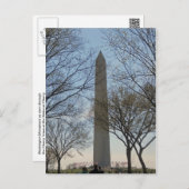 Washington Monument Cherry Blossom Festival Postcard (Front/Back)