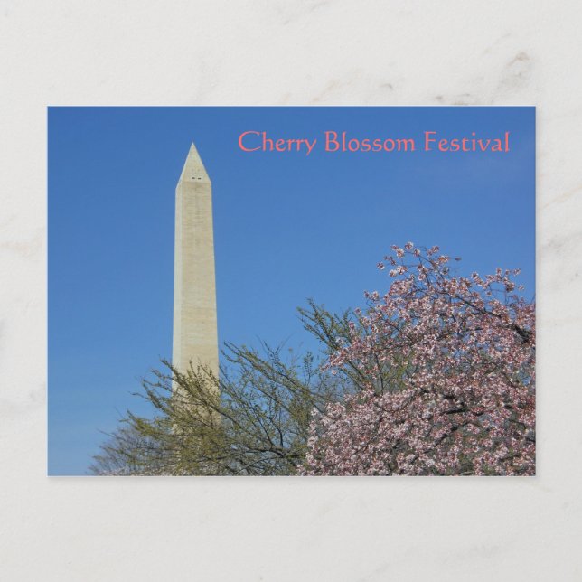 Washington Monument Cherry Blossom Festival Postcard (Front)