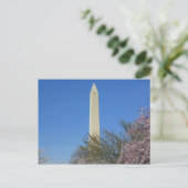 Washington Monument Cherry Blossom Festival Postcard (Standing Front)