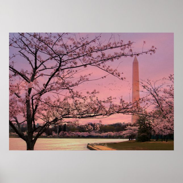 Washington Monument Cherry Blossom Festival Poster (Front)