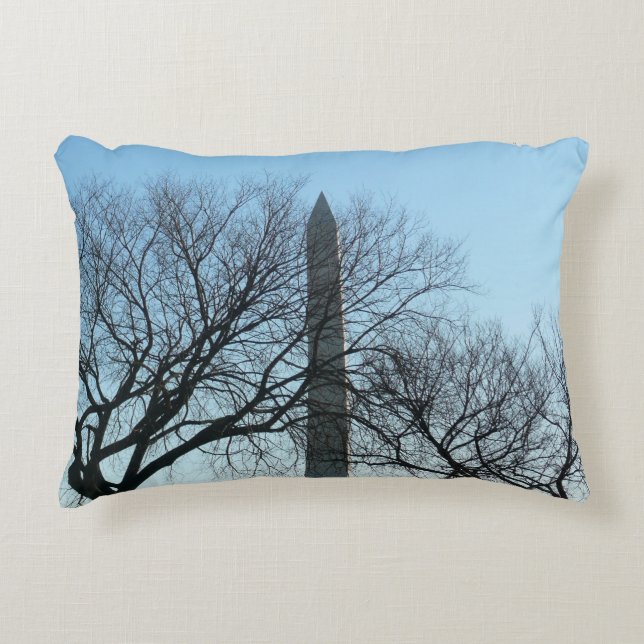 Washington Monument in Winter I Landscape Accent Pillow (Front)