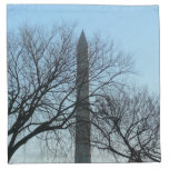 Washington Monument in Winter I Landscape Cloth Napkin