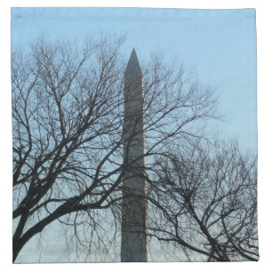 Washington Monument in Winter I Landscape Cloth Napkin