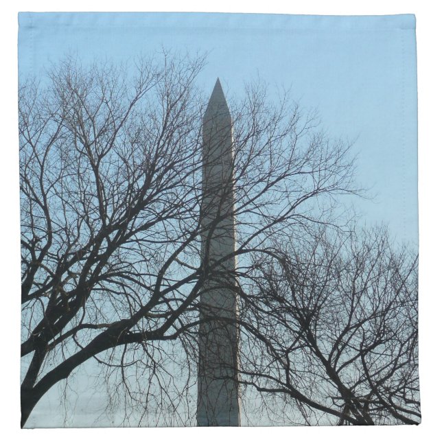 Washington Monument in Winter I Landscape Cloth Napkin (Front)