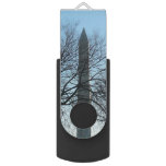 Washington Monument in Winter I Landscape Flash Drive