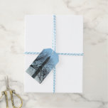 Washington Monument in Winter I Landscape Gift Tags