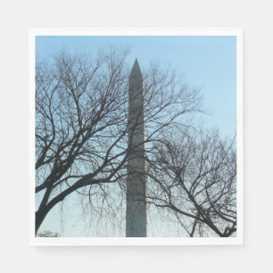 Washington Monument in Winter I Landscape Napkins