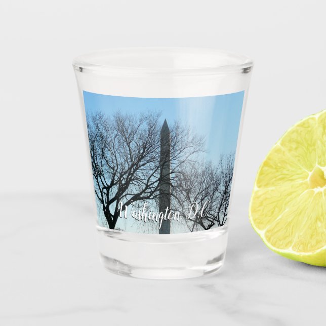 Washington Monument in Winter I Landscape Shot Glass (Front)