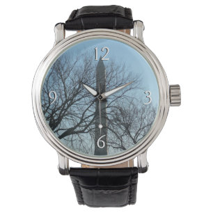 Washington Monument in Winter I Landscape Watch