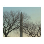 Washington Monument in Winter I Landscape Wood Wall Art