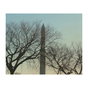 Washington Monument in Winter I Landscape Wood Wall Art