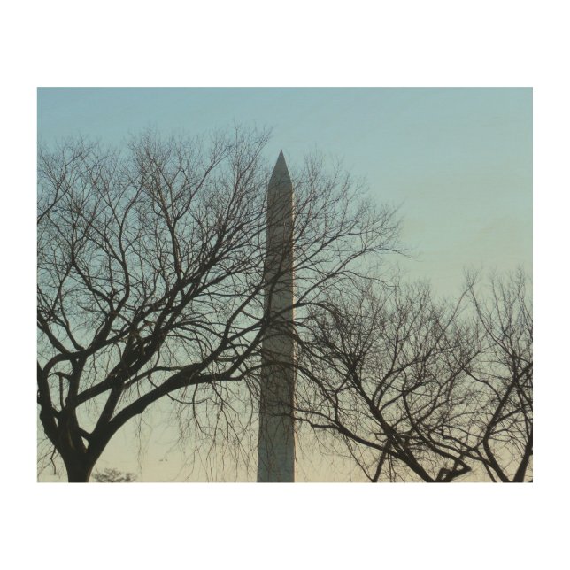 Washington Monument in Winter I Landscape Wood Wall Art (Front)