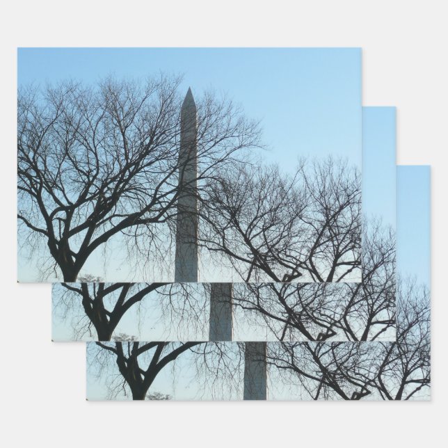 Washington Monument in Winter I Landscape Wrapping Paper Sheets (Set)