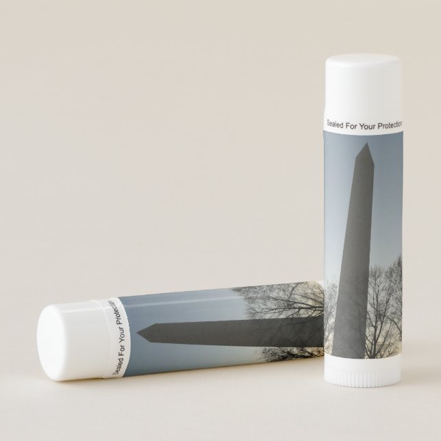 Washington Monument in Winter II Landscape Lip Balm (Front)