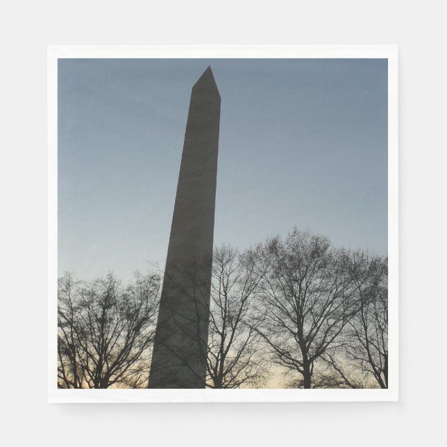 Washington Monument in Winter II Landscape Paper Napkins (Front)