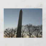 Washington Monument in Winter II Landscape Postcard