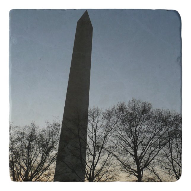 Washington Monument in Winter II Landscape Trivet (Front)