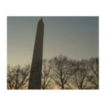Washington Monument in Winter II Landscape Wood Wall Decor