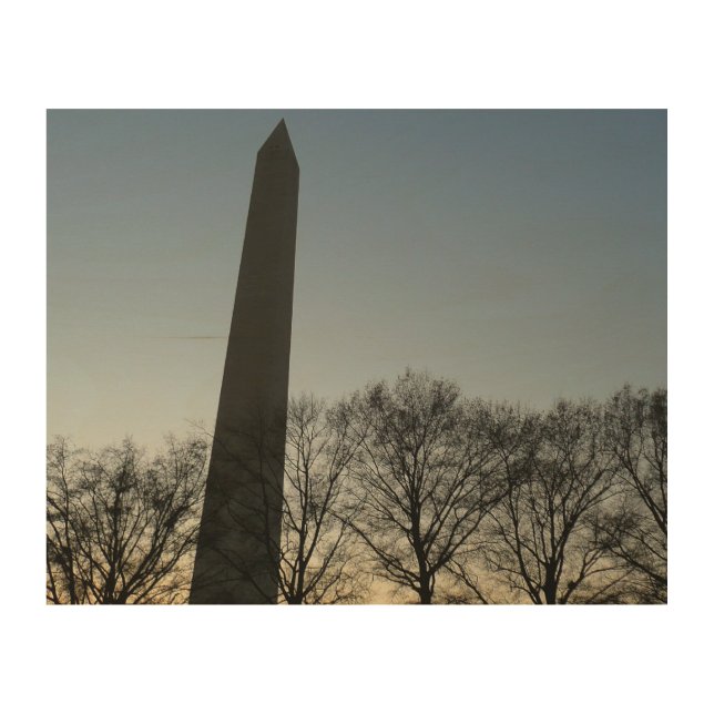 Washington Monument in Winter II Landscape Wood Wall Decor (Front)