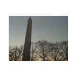 Washington Monument in Winter II Wood Poster