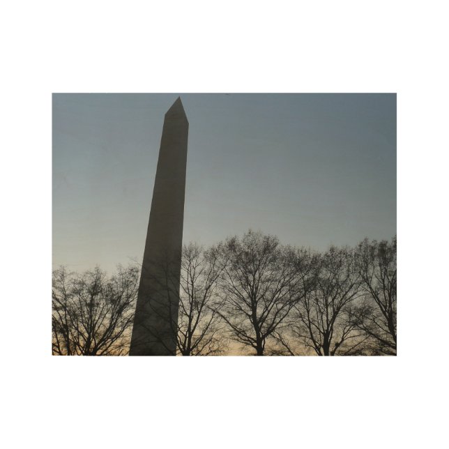 Washington Monument in Winter II Wood Poster (Front)