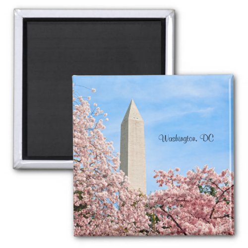 Washington Monument Magnet