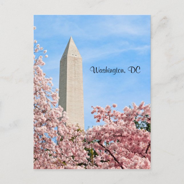 Washington Monument Postcard (Front)