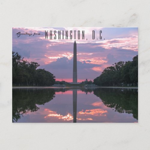 Washington Monument Washington DC Postcard