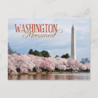 Washington Monument with cherry blossoms