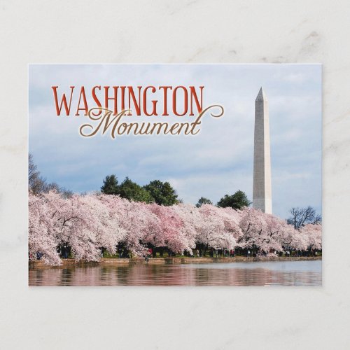 Washington Monument with cherry blossoms Postcard