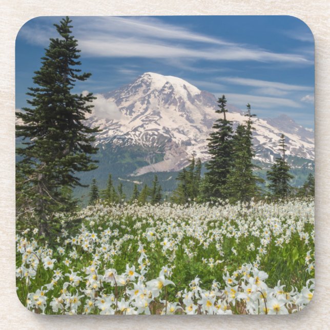 Washington, Mount Rainier National Park 1 Beverage Coaster (Front)