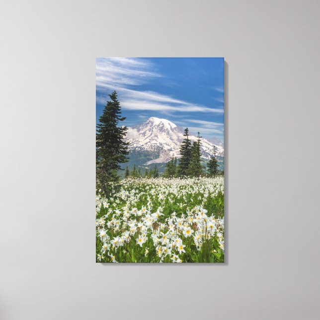 Washington, Mount Rainier National Park 1 Canvas Print (Front)