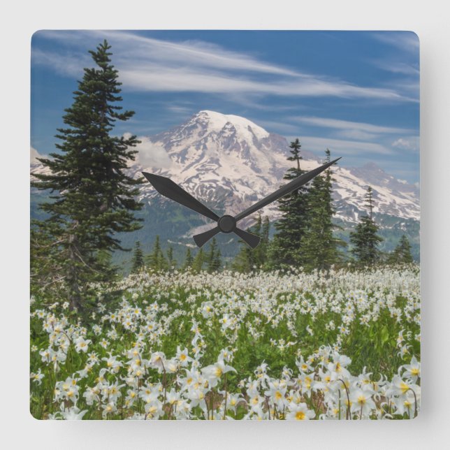 Washington, Mount Rainier National Park 1 Square Wall Clock (Front)