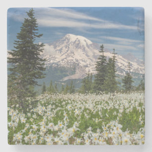 Washington, Mount Rainier National Park 1 Stone Coaster