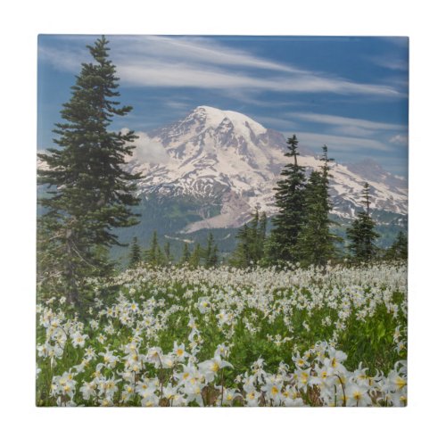 Washington Mount Rainier National Park 1 Tile