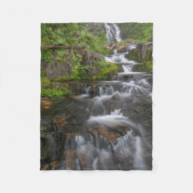 Washington, Mount Rainier National Park 2 Fleece Blanket (Front)