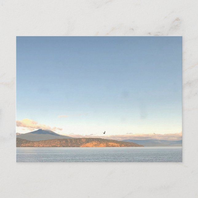 Washington Mountain Lake Pacific Northwest Postcard (Front)