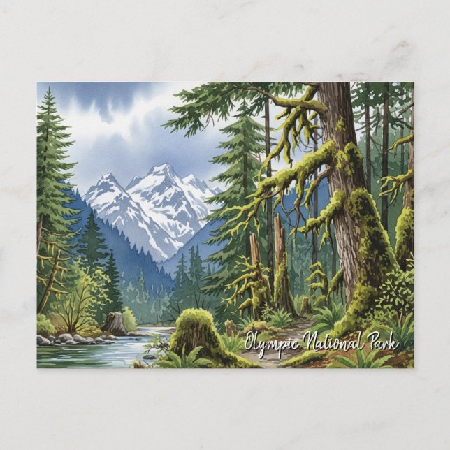 Washington olympic national park hoh rainforest postcard (Front)