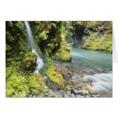 Washington, Olympic National Park, Seasonal (Front Horizontal)