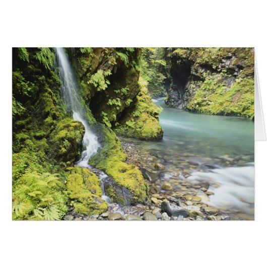 Washington, Olympic National Park, Seasonal (Front Horizontal)