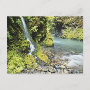 Washington, Olympic National Park, Seasonal Postcard
