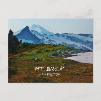 Washington Postcard