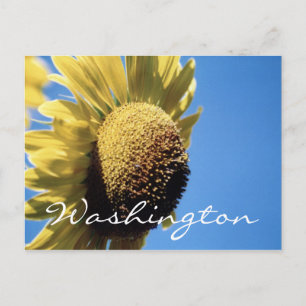 Washington Postcard Sunflower Template