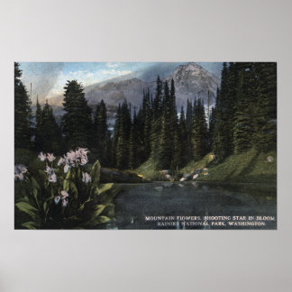 Washington - Rainier National Park, Shooting Sta Poster