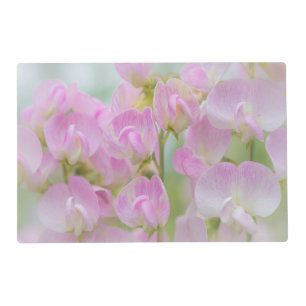 Washington, Seabeck. Detail of sweet pea Placemat