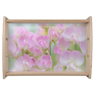 Washington, Seabeck. Detail of sweet pea Serving Tray