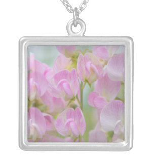 Washington, Seabeck. Detail of sweet pea Silver Plated Necklace