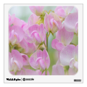 Washington, Seabeck. Detail of sweet pea Wall Sticker